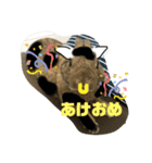 ほむくん（個別スタンプ：6）
