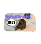 ほむくん（個別スタンプ：7）