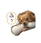 こてぴー日和2（個別スタンプ：22）