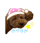 嵐と書いてRAN withココア（個別スタンプ：2）