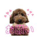 嵐と書いてRAN withココア（個別スタンプ：5）