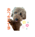 嵐と書いてRAN withココア（個別スタンプ：6）