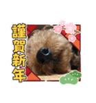 嵐と書いてRAN withココア（個別スタンプ：12）