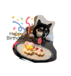 黒柴★Mud（個別スタンプ：40）