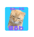 ぺーとちび（個別スタンプ：2）
