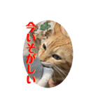 ぺーとちび（個別スタンプ：6）