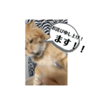 ぺーとちび（個別スタンプ：8）