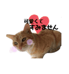 ぺーとちび（個別スタンプ：9）