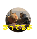 ぺーとちび（個別スタンプ：16）