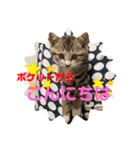 ぺーとちび（個別スタンプ：18）