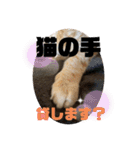 ぺーとちび（個別スタンプ：21）
