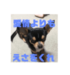 じろの日常3（個別スタンプ：18）