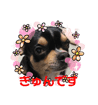 じろの日常3（個別スタンプ：21）
