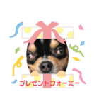 じろの日常3（個別スタンプ：22）