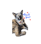 ミミ vol.1（個別スタンプ：5）