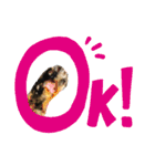 ミミ vol.1（個別スタンプ：7）