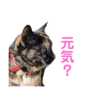 ミミ vol.1（個別スタンプ：9）