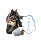 ミミ vol.1（個別スタンプ：10）
