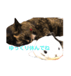ミミ vol.1（個別スタンプ：12）