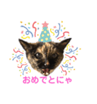 ミミ vol.1（個別スタンプ：17）