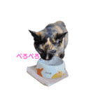 ミミ vol.1（個別スタンプ：20）