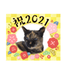 ミミ vol.1（個別スタンプ：22）