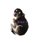 みらまき、スタンプ（個別スタンプ：7）