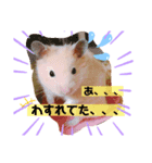 きんくま 大将君（個別スタンプ：2）