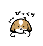 シーズー犬ぽんずちゃん（個別スタンプ：34）