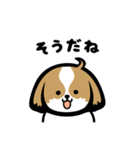 シーズー犬ぽんずちゃん（個別スタンプ：37）