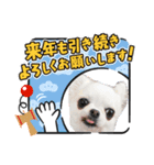 リトルとお正月（個別スタンプ：2）