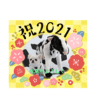 リトルとお正月（個別スタンプ：3）