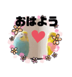 のんレン鳥（個別スタンプ：1）