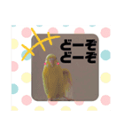 のんレン鳥（個別スタンプ：2）