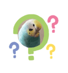 のんレン鳥（個別スタンプ：4）
