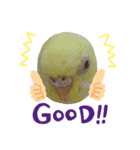のんレン鳥（個別スタンプ：6）