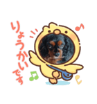 クロ君（個別スタンプ：2）