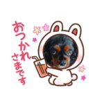 クロ君（個別スタンプ：4）