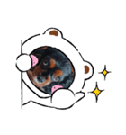 クロ君（個別スタンプ：8）