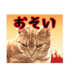家族のアッサリ会話スタンプ（個別スタンプ：18）