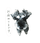 グラフです！（個別スタンプ：3）