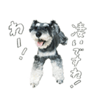 グラフです！（個別スタンプ：18）