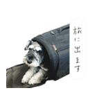 グラフです！（個別スタンプ：23）