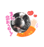 フレブルモー Ⅴ（個別スタンプ：4）