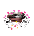 フレブルモー Ⅴ（個別スタンプ：8）