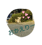 大好きなファミリーに（個別スタンプ：10）