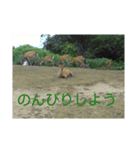 大好きなファミリーに（個別スタンプ：12）
