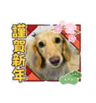 大好きなファミリーに（個別スタンプ：14）