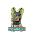 グリーンF ハッピー（個別スタンプ：8）