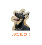 グリーンF ハッピー（個別スタンプ：9）